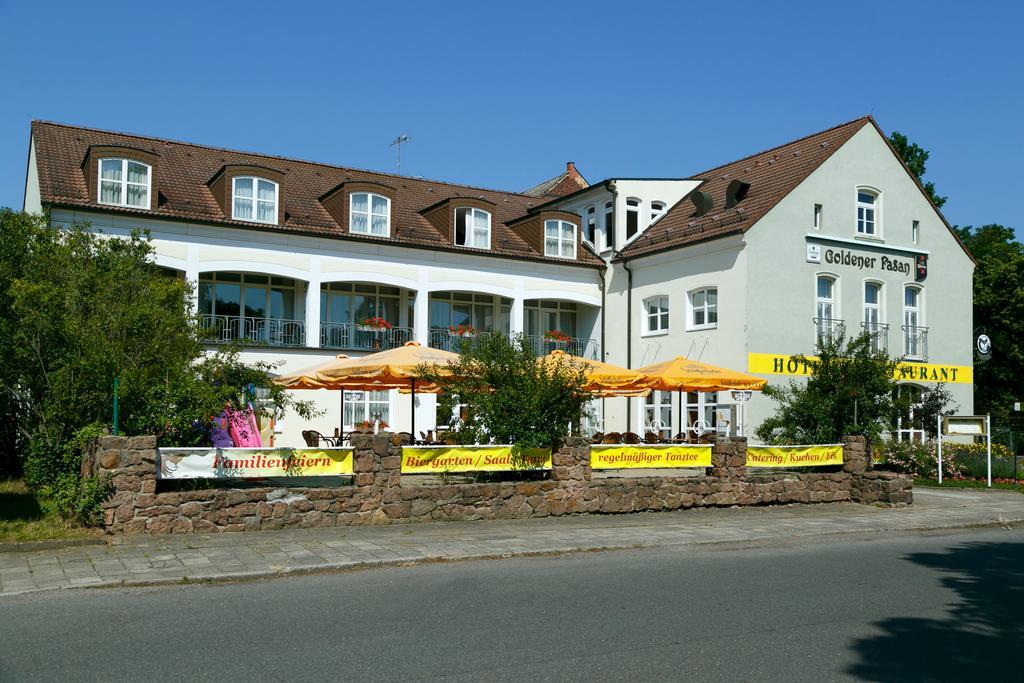 Hotel Goldener Fasan Oranienbaum-Woerlitz Eksteriør bilde