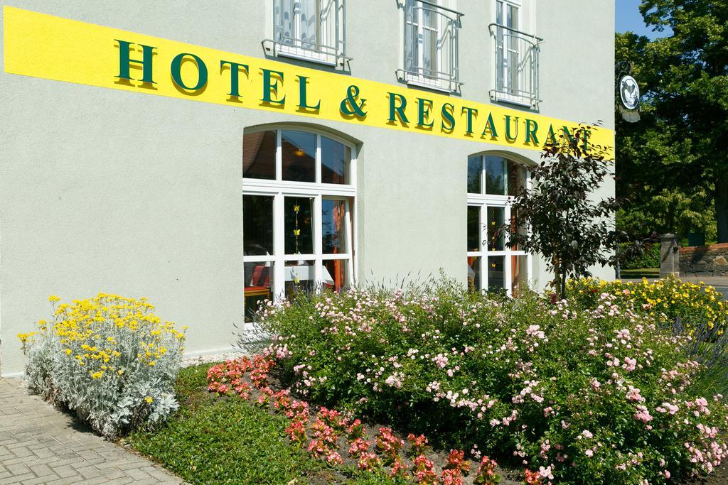 Hotel Goldener Fasan Oranienbaum-Woerlitz Eksteriør bilde