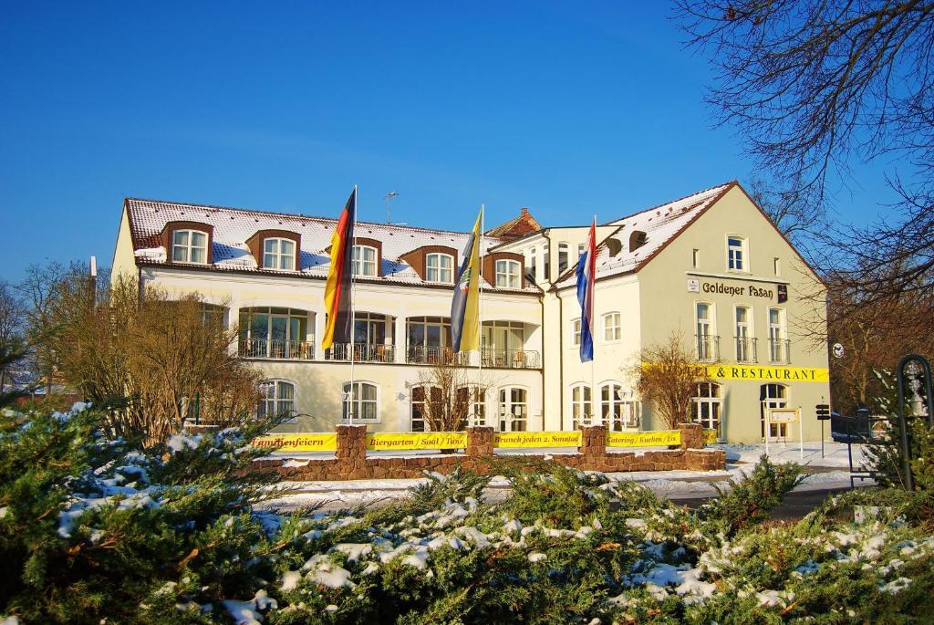 Hotel Goldener Fasan Oranienbaum-Woerlitz Eksteriør bilde
