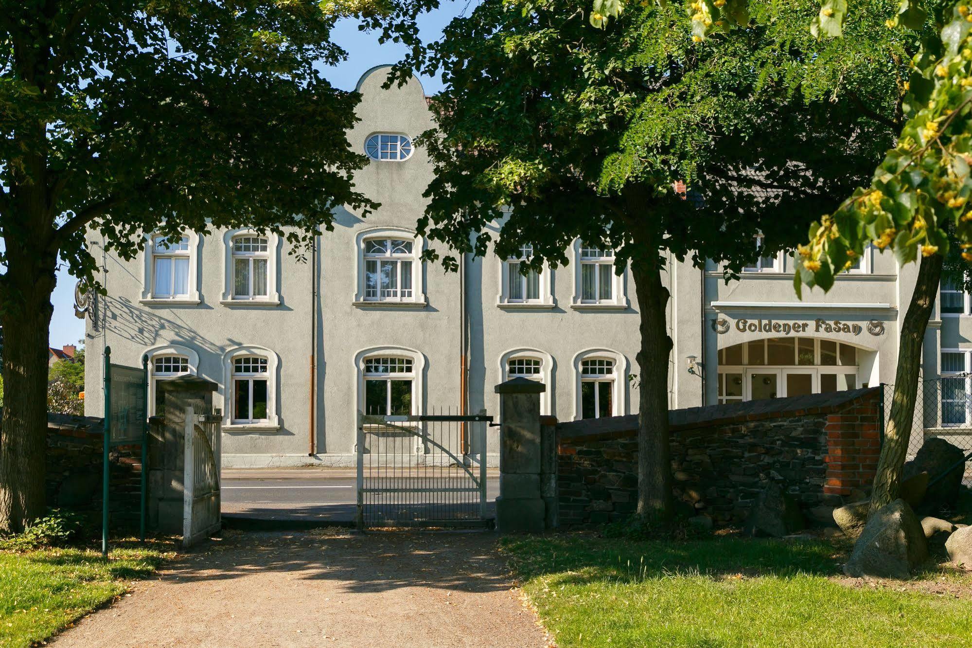 Hotel Goldener Fasan Oranienbaum-Woerlitz Eksteriør bilde