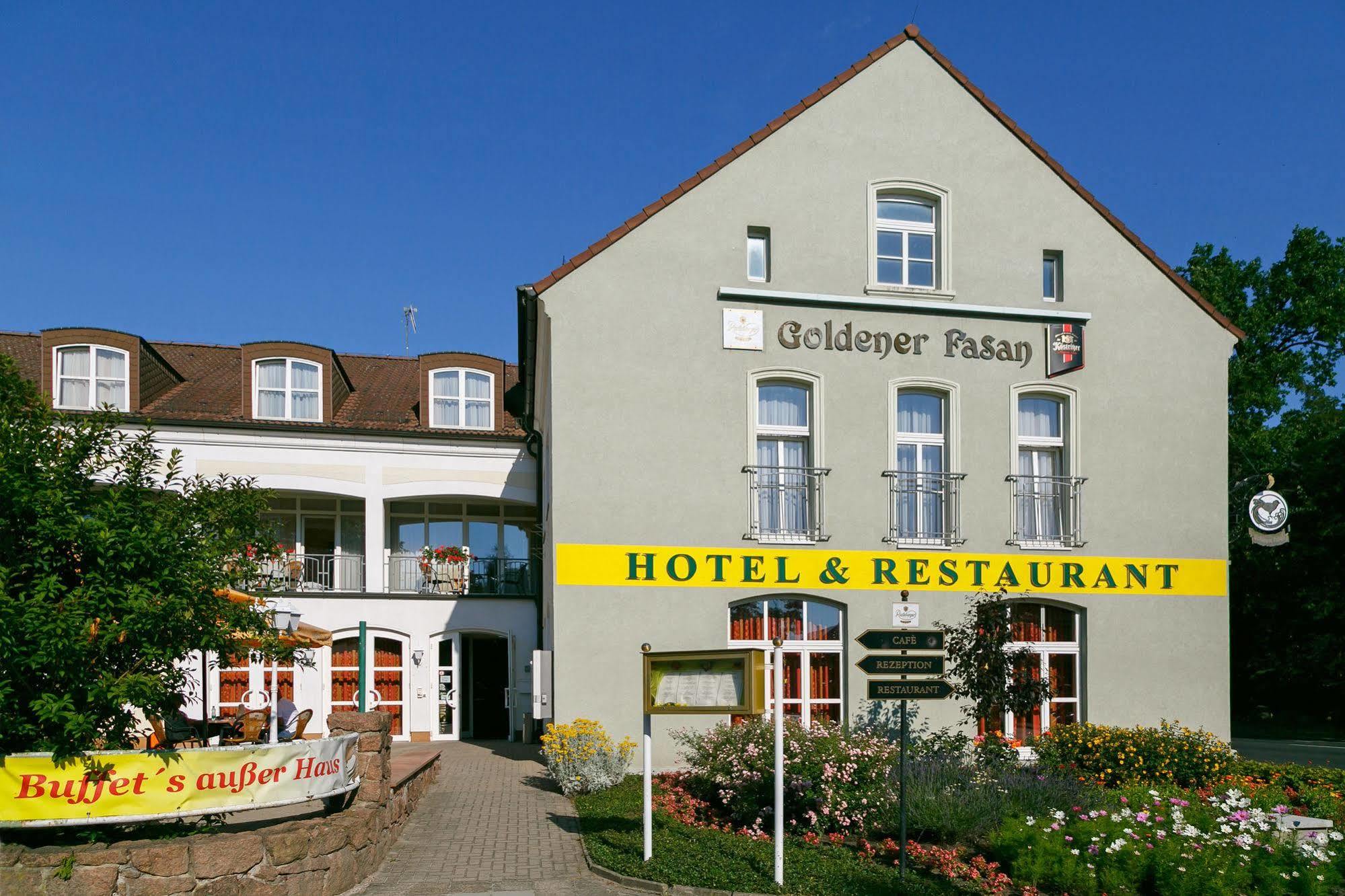 Hotel Goldener Fasan Oranienbaum-Woerlitz Eksteriør bilde